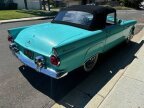 Thumbnail Photo 6 for 1955 Ford Thunderbird