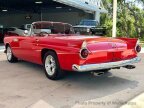 Thumbnail Photo 6 for 1955 Ford Thunderbird
