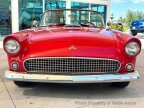 Thumbnail Photo 1 for 1955 Ford Thunderbird