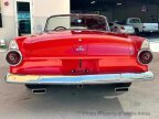 Thumbnail Photo 5 for 1955 Ford Thunderbird