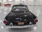 Thumbnail Photo 5 for 1955 Ford Thunderbird