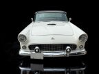 Thumbnail Photo 5 for 1955 Ford Thunderbird