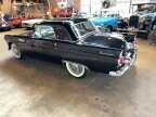Thumbnail Photo 4 for 1955 Ford Thunderbird