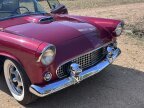 Thumbnail Photo 6 for 1955 Ford Thunderbird Sport for Sale by Owner