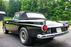 Thumbnail Photo 6 for 1955 Ford Thunderbird