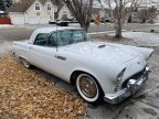 Thumbnail Photo 2 for 1955 Ford Thunderbird