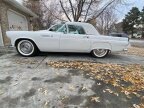 Thumbnail Photo 4 for 1955 Ford Thunderbird