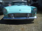 Thumbnail Photo 1 for 1955 Ford Thunderbird