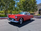 1955 Ford Thunderbird