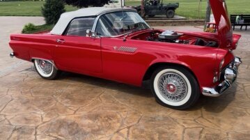 1955 Ford Thunderbird
