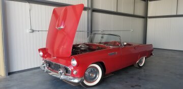 1955 Ford Thunderbird