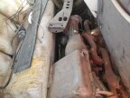 Thumbnail Photo 5 for 1955 Hudson Hornet