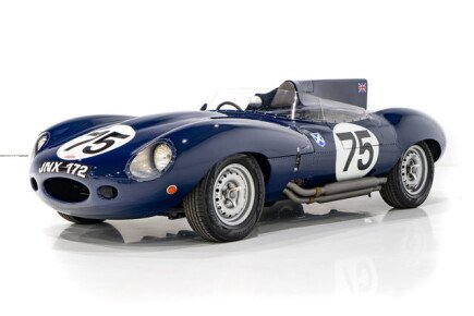 Photo 1 for 1955 Jaguar D-Type