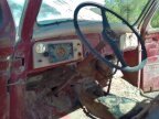 Thumbnail Photo 2 for 1955 Studebaker Other Studebaker Models