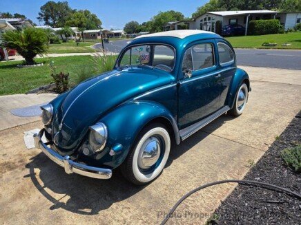 Photo 1 for 1955 Volkswagen Beetle