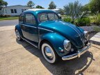 Thumbnail Photo 1 for 1955 Volkswagen Beetle