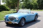 Thumbnail Photo 1 for 1956 Austin-Healey 100