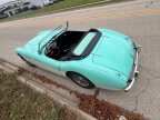 Thumbnail Photo 5 for 1956 Austin-Healey 100