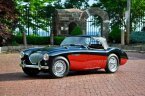 Thumbnail Photo 3 for 1956 Austin-Healey 100M