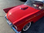 Thumbnail Photo 2 for 1956 Ford Thunderbird