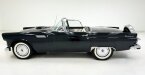 Thumbnail Photo 3 for 1956 Ford Thunderbird