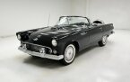 Thumbnail Photo 1 for 1956 Ford Thunderbird