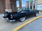 Thumbnail Photo 5 for 1956 Ford Thunderbird
