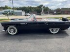 Thumbnail Photo 3 for 1956 Ford Thunderbird
