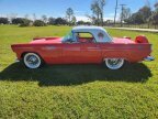 Thumbnail Photo 2 for 1956 Ford Thunderbird