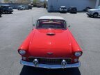 Thumbnail Photo 4 for 1956 Ford Thunderbird