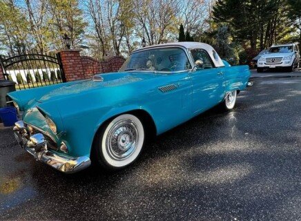 Photo 1 for 1956 Ford Thunderbird