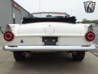 Thumbnail Photo 6 for 1956 Ford Thunderbird