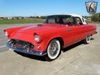 Thumbnail Photo 3 for 1956 Ford Thunderbird