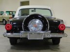 Thumbnail Photo 4 for 1956 Ford Thunderbird