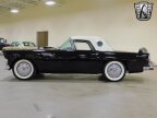 Thumbnail Photo 3 for 1956 Ford Thunderbird