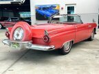 Thumbnail Photo 5 for 1956 Ford Thunderbird