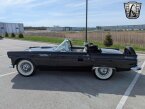 Thumbnail Photo 3 for 1956 Ford Thunderbird