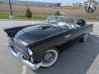 Thumbnail Photo 2 for 1956 Ford Thunderbird