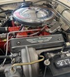 Thumbnail Photo 5 for 1956 Ford Thunderbird