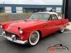 Thumbnail Photo 4 for 1956 Ford Thunderbird