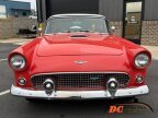 Thumbnail Photo 3 for 1956 Ford Thunderbird