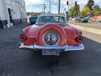 Thumbnail Photo 4 for 1956 Ford Thunderbird