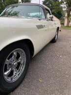 Thumbnail Photo 5 for 1956 Ford Thunderbird