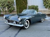 1956 Ford Thunderbird