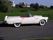 1956 Ford Thunderbird