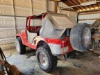 Thumbnail Photo 2 for 1956 Jeep CJ-5
