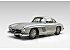 1956 Mercedes-Benz 300SL