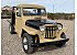 1956 Willys Pickup