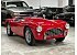 1957 AC ACE Bristol