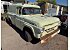 1957 Ford F100